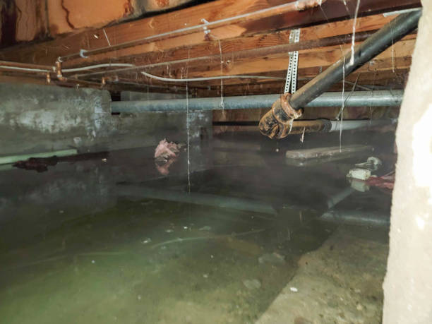 Best Flood damage cleanup  in College Park, GA