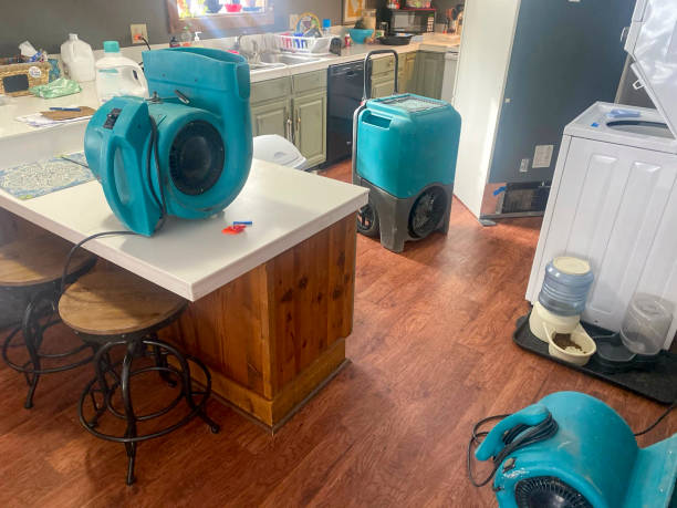 Best Sewage cleanup and water damage restoration  in College Park, GA