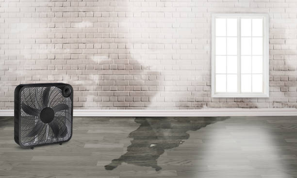 Best Fire Damage Restoration  in College Park, GA