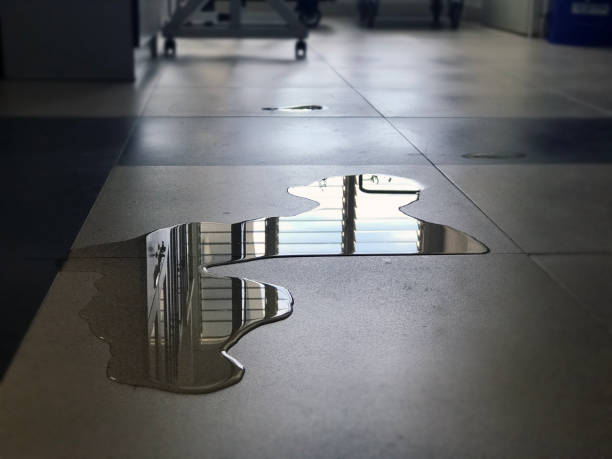 Best Carpet water damage restoration  in College Park, GA
