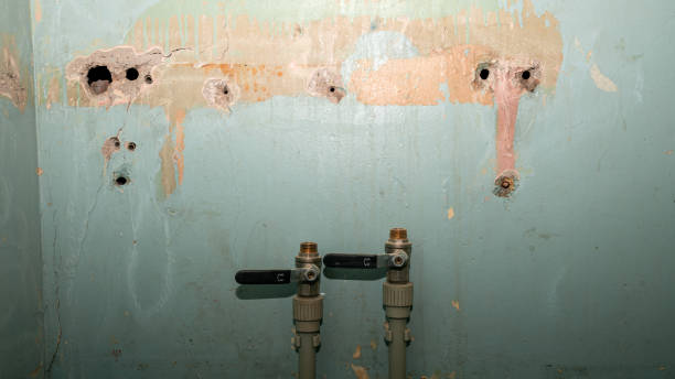 Best Water damage restoration specialists  in College Park, GA