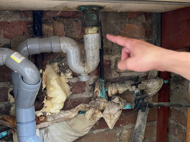 Best 24-hour water damage restoration  in College Park, GA