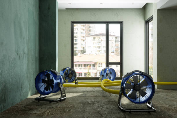 Best Commercial water damage restoration  in College Park, GA